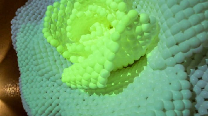 daisyballoon-tanjc-00007